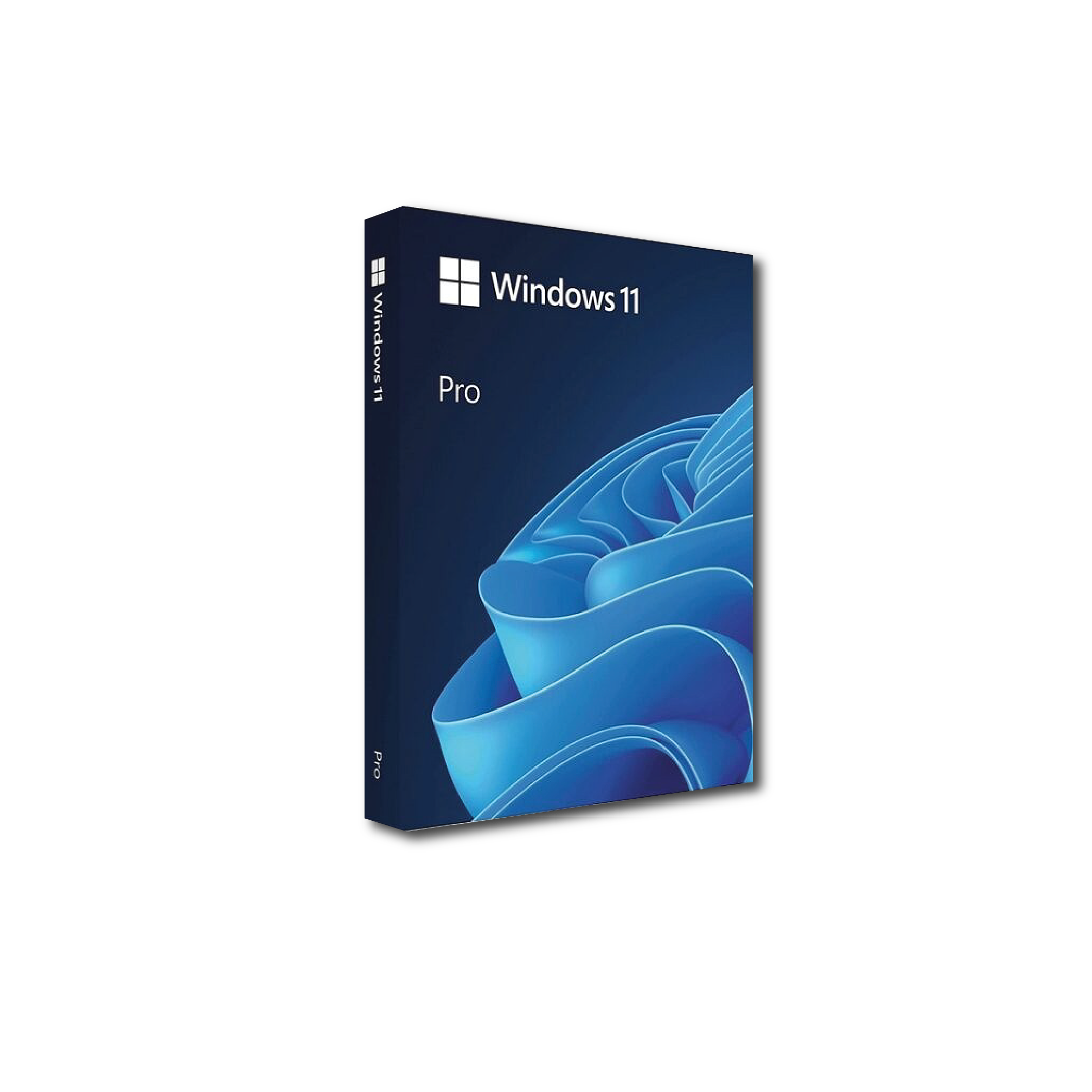 Windows 11 Pro 32/64 bit